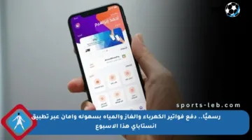 رسميًا.. دفع فواتير الكهرباء والغاز والمياه بسهولة وأمان عبر تطبيق إنستاباي هذا الأسبوع